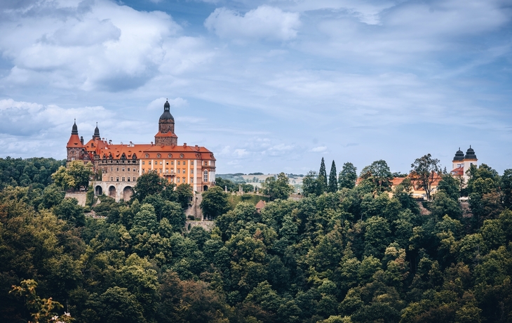 © Maciej Kosmala/Shutterstock