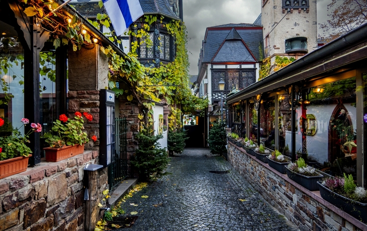 © Alisa N Rogne/Shutterstock