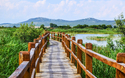 © jana_janina - stock.adobe.com