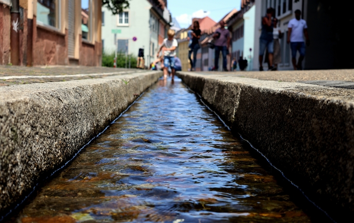 © Uellue/Shutterstock