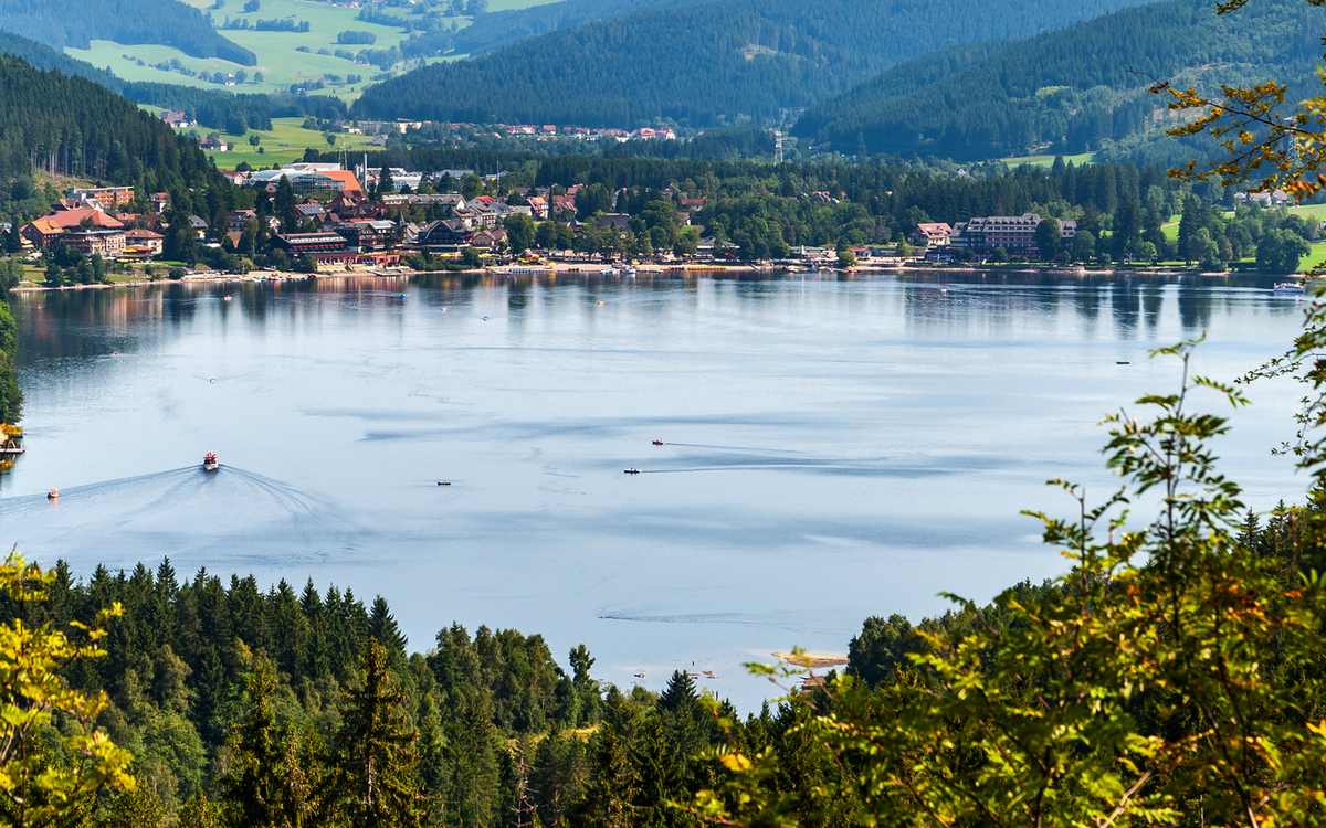 © AdryPhoto1/Shutterstock