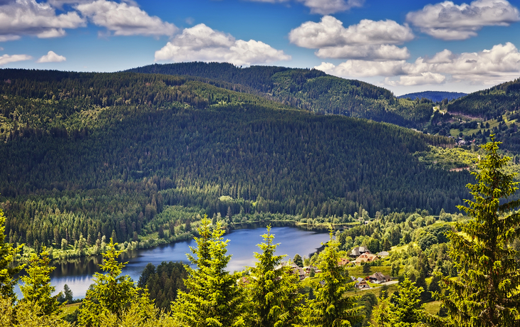 © karp5 - stock.adobe.com - Schluchsee im Schwarzwald