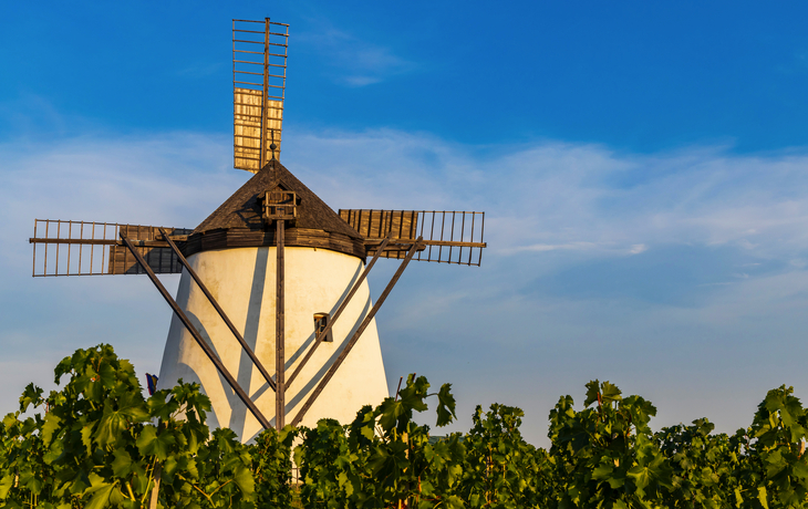 © Richard Semik/Shutterstock