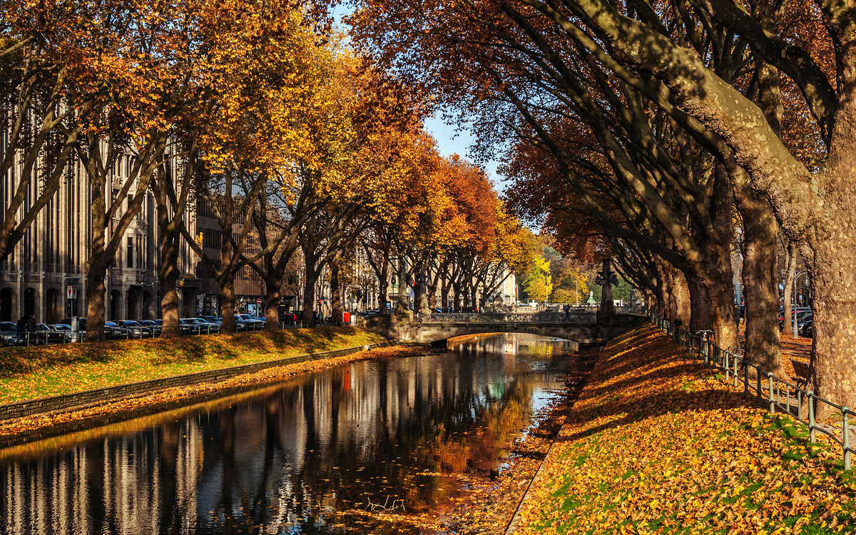 © Zyankarlo/Shutterstock