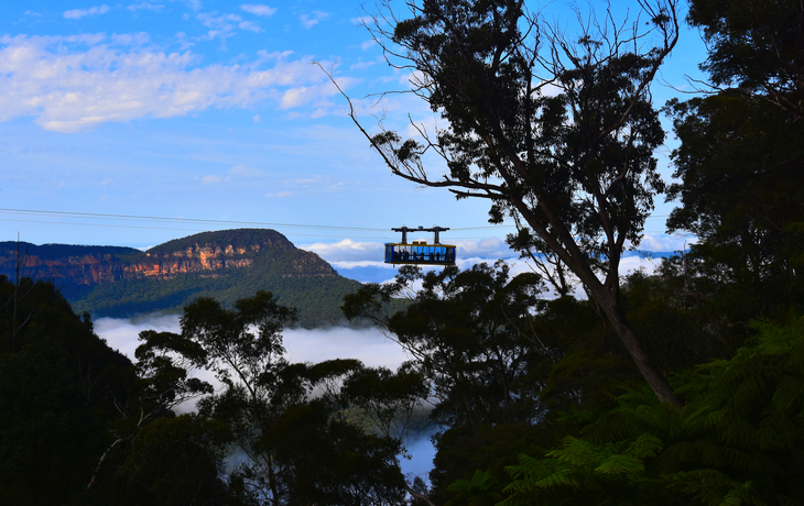 © katacarix/Shutterstock