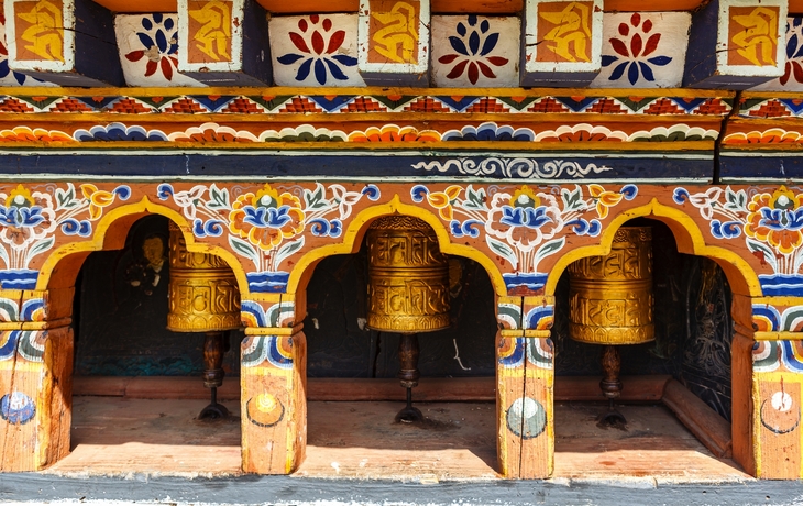 © Jan Willem van Hofwegen/Shutterstock