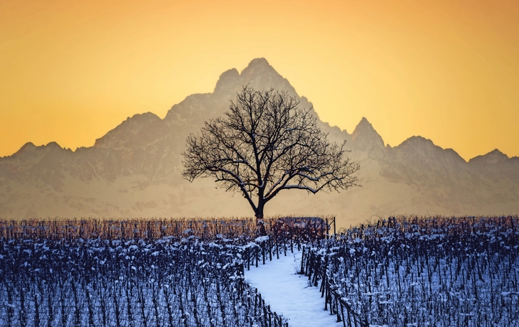 Piemont im WInter