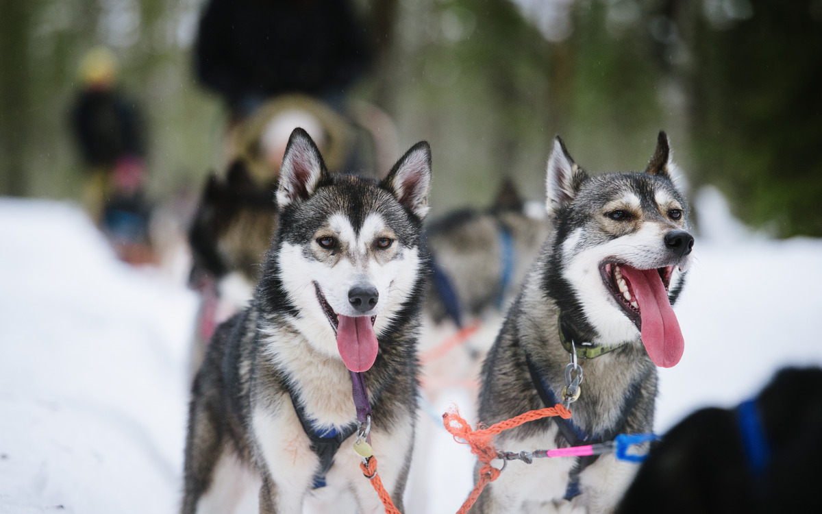 Visit Finland/Juho Kuva