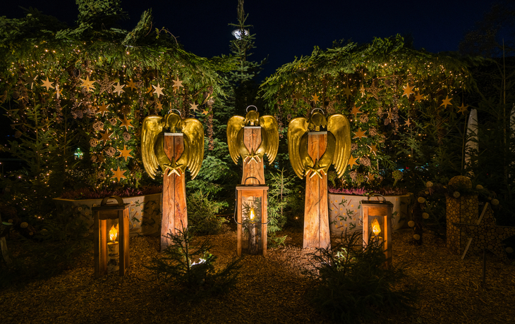 Meraner Weihnachtsmarkt - ©e55evu - stock.adobe.com