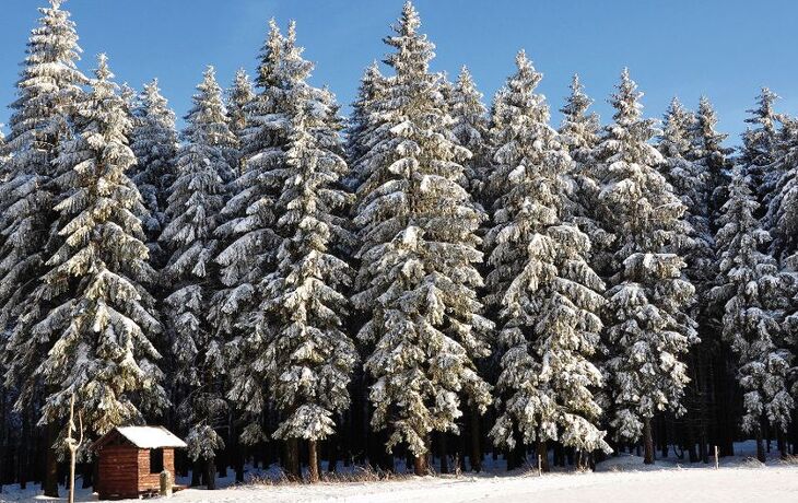 Unterwegs am Rennsteig - © palomita0306 - Fotolia