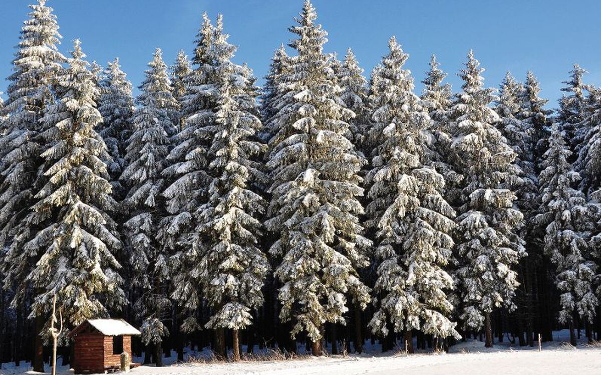 Unterwegs am Rennsteig - © palomita0306 - Fotolia