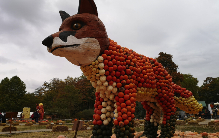 © Atchacapture/Shutterstock