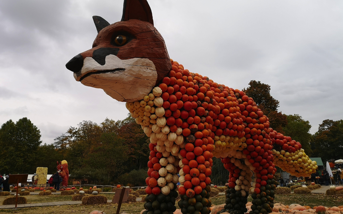 © Atchacapture/Shutterstock