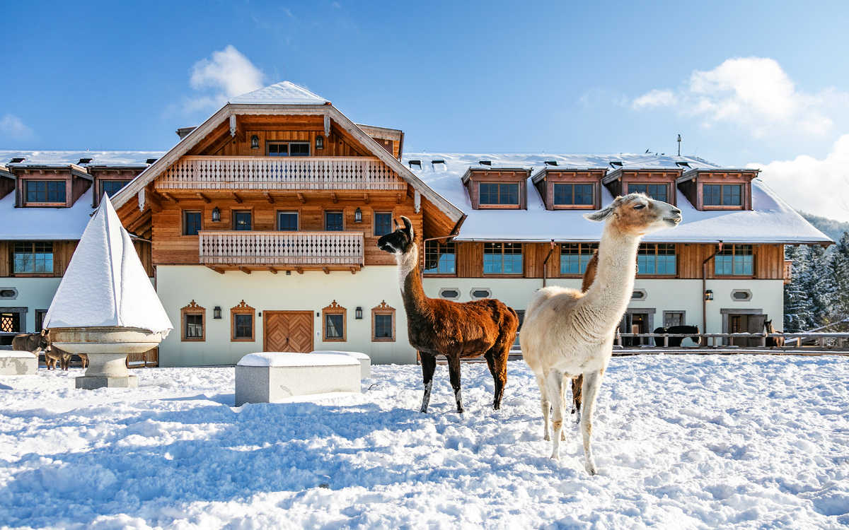 Gut Aiderbichl  - © Gut Aiderbichl 