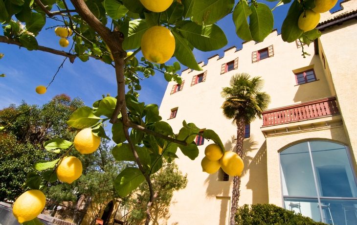 © Gärten von Schloss Trauttmansdorff