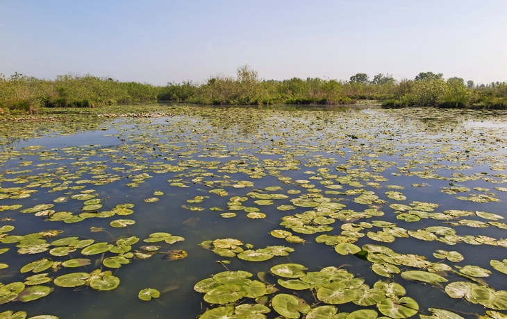 Mincio Fluss - © enrico113 - stock.adobe.com