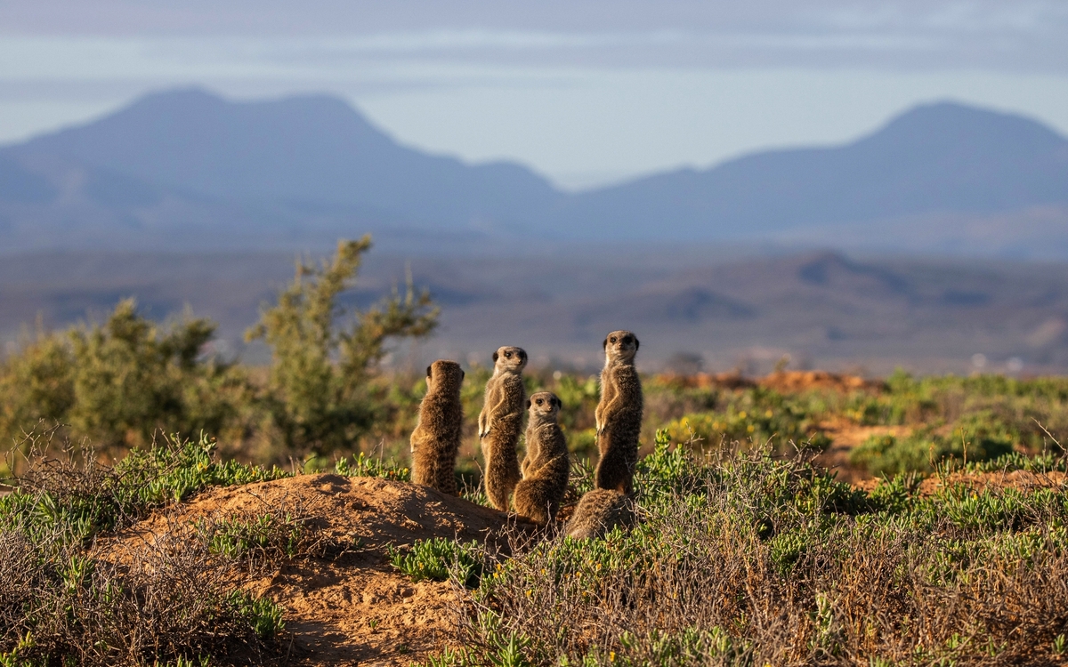 © Boris Edelmann/Shutterstock