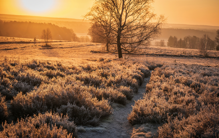 Lüneburger Heide im Winter - © Christoph Z.  - stock.adobe.com
