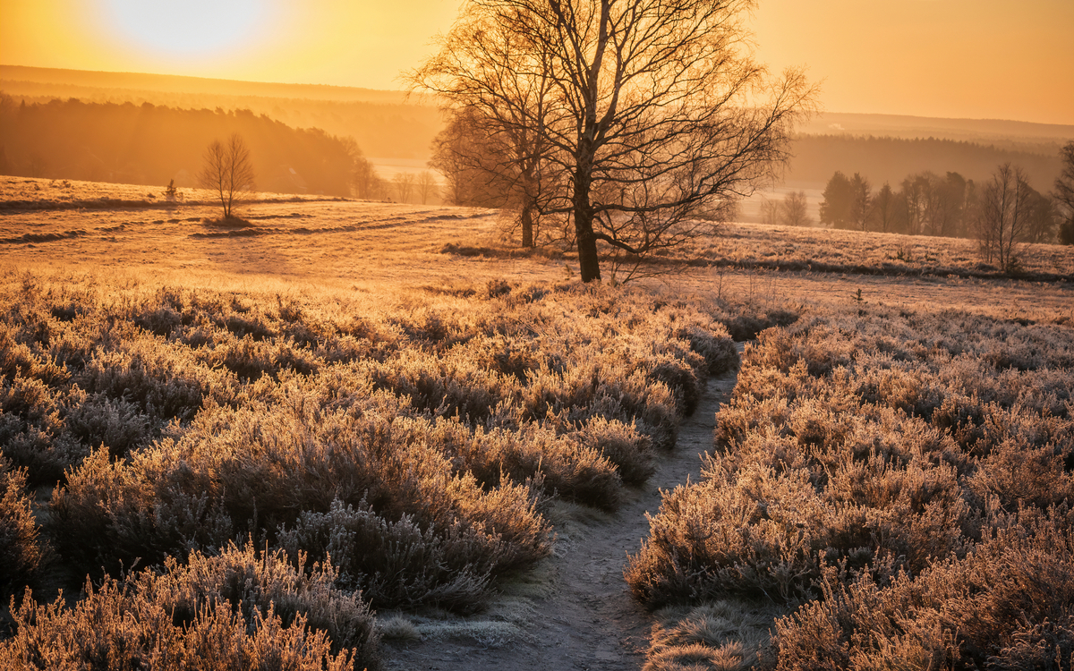 Lüneburger Heide im Winter - © Christoph Z.  - stock.adobe.com