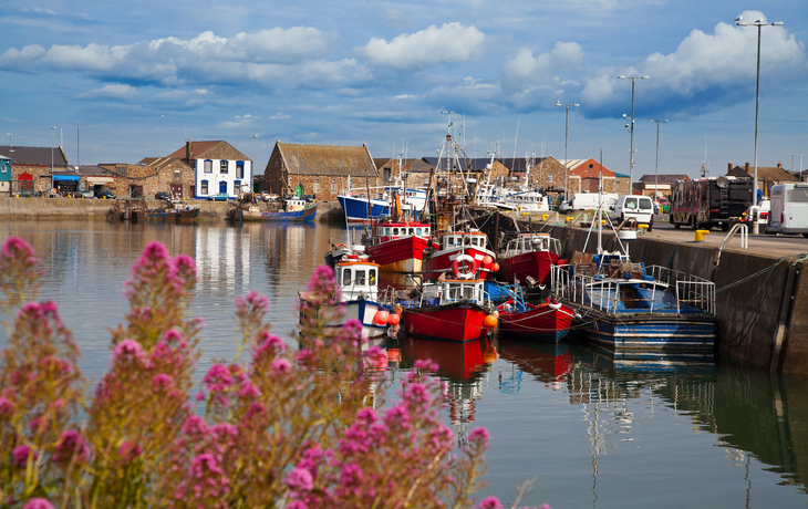 © Gabriela Insuratelu/Shutterstock