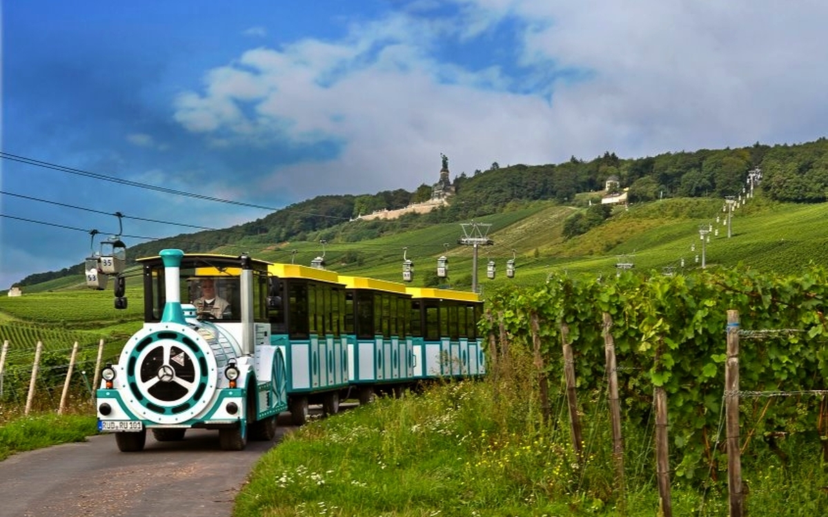 Rüdesheimer Besichtigungsfahrten GmbH & R KG