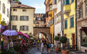 © Ingo Bartussek - stock.adobe.com