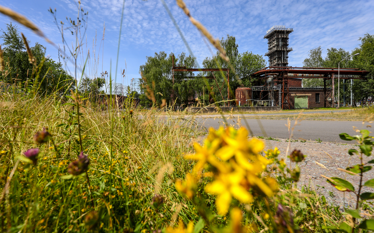 KokeriHansa_DO_IGA2027_Oberhäuser - © IGA 2027/Oberhäuser