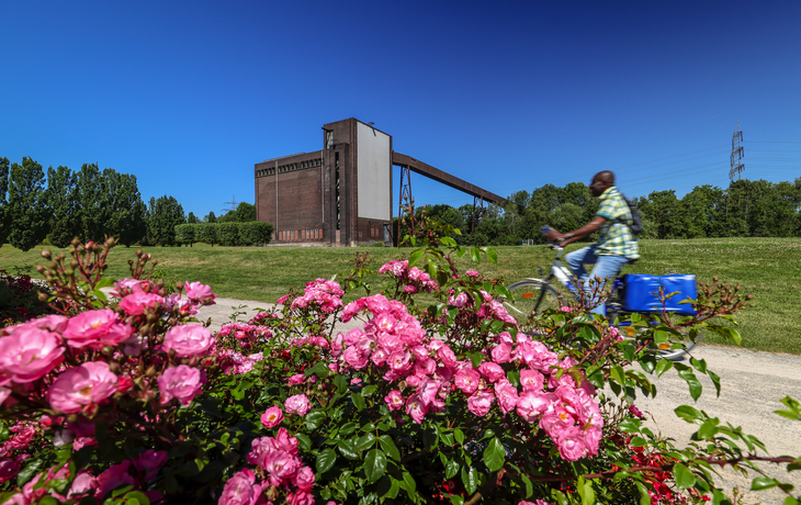 GE_Blumen_IGA_Oberhäuser - © IGA 2027/Oberhäuser