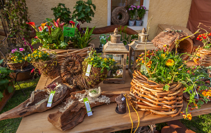 Schloss Guteneck - Schloss Guteneck