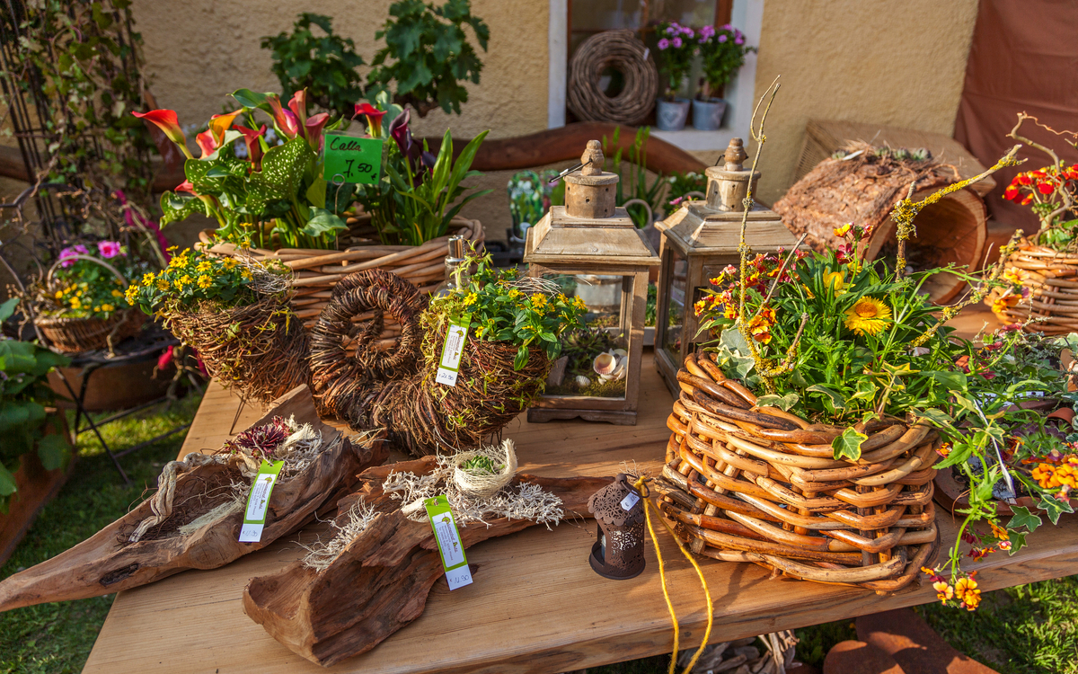 Schloss Guteneck - Schloss Guteneck