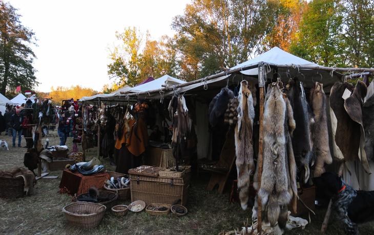 Schloss Guteneck - Schloss Guteneck