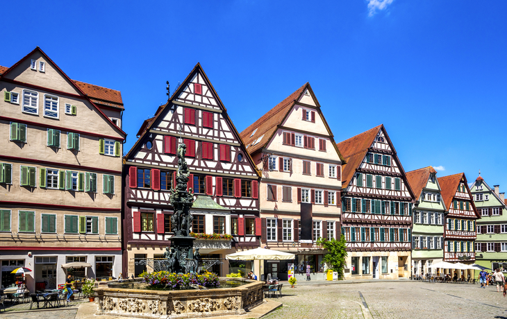 Marktplatz von Tübingen - © Sina Ettmer - stock.adobe.com