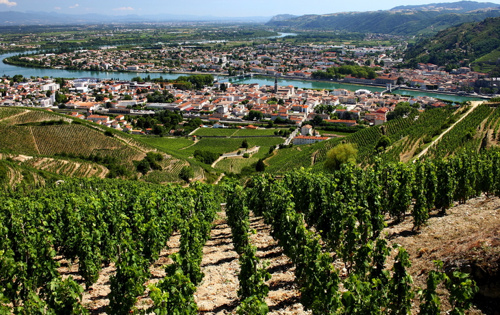  Weinberge des Rhône-Tals in Tain-l'Hermitage