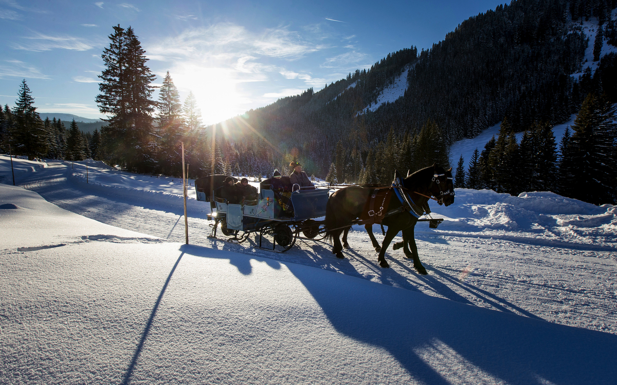 Kutschfahrt nahe St. Johann im Pongau - © Tom Lamm | ikarus.cc