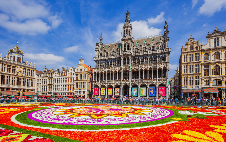 Blumenteppich auf dem Grote Markt in Brüssel - © SCStock - stock.adobe.com