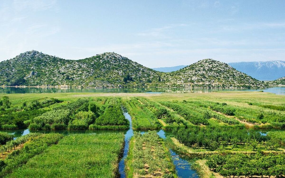 Landwirtschaftliche Fläche in Neretva-Delta in Kroatien - © CCat82 - Fotolia
