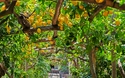 © neirfy - stock.adobe.com