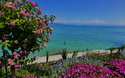© Susanne - stock.adobe.com