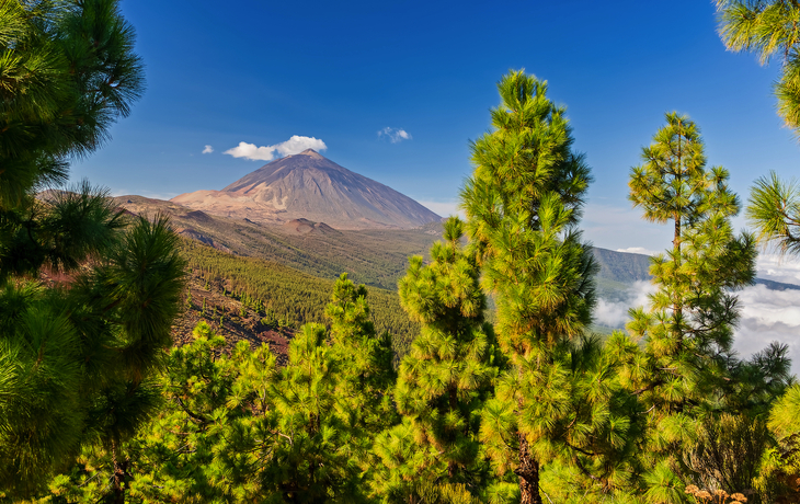© Henner Damke - stock.adobe.com - Vulkan Teide – Blick vom Mirador La Crucita 