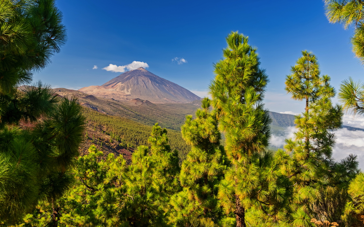 Vulkan Teide – Blick vom Mirador La Crucita  - © Henner Damke - stock.adobe.com