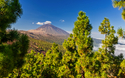 © Henner Damke - stock.adobe.com
