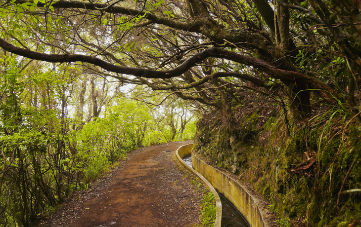 © Karol Kozlowski/Shutterstock