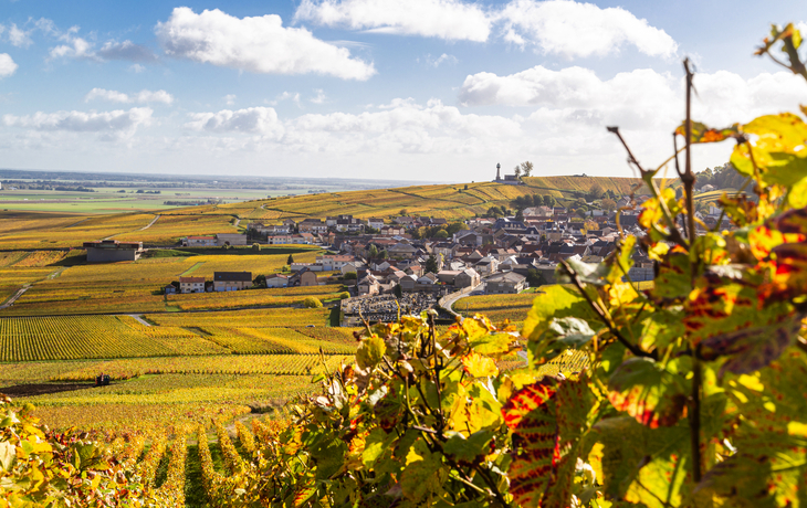 Panoramablick auf den Leuchtturm von Verzenay im Herzen der Weinberge der Champagne - © Jeremie LORAND - stock.adobe.com