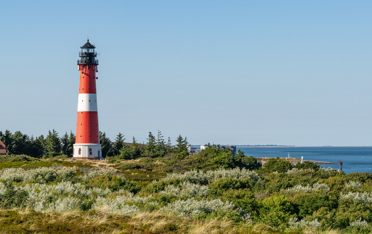 © mapman/Shutterstock