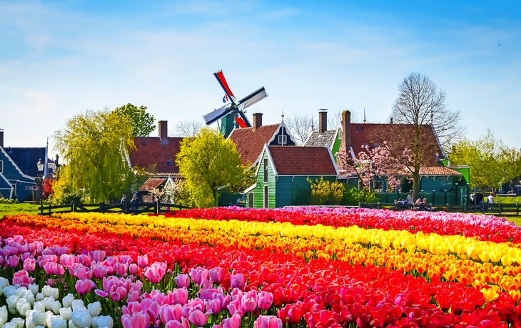 kleine Holzhäuser und Kanal in Zaanse Schans in den Niederlanden - © olenaznakk - stock.adobe.com