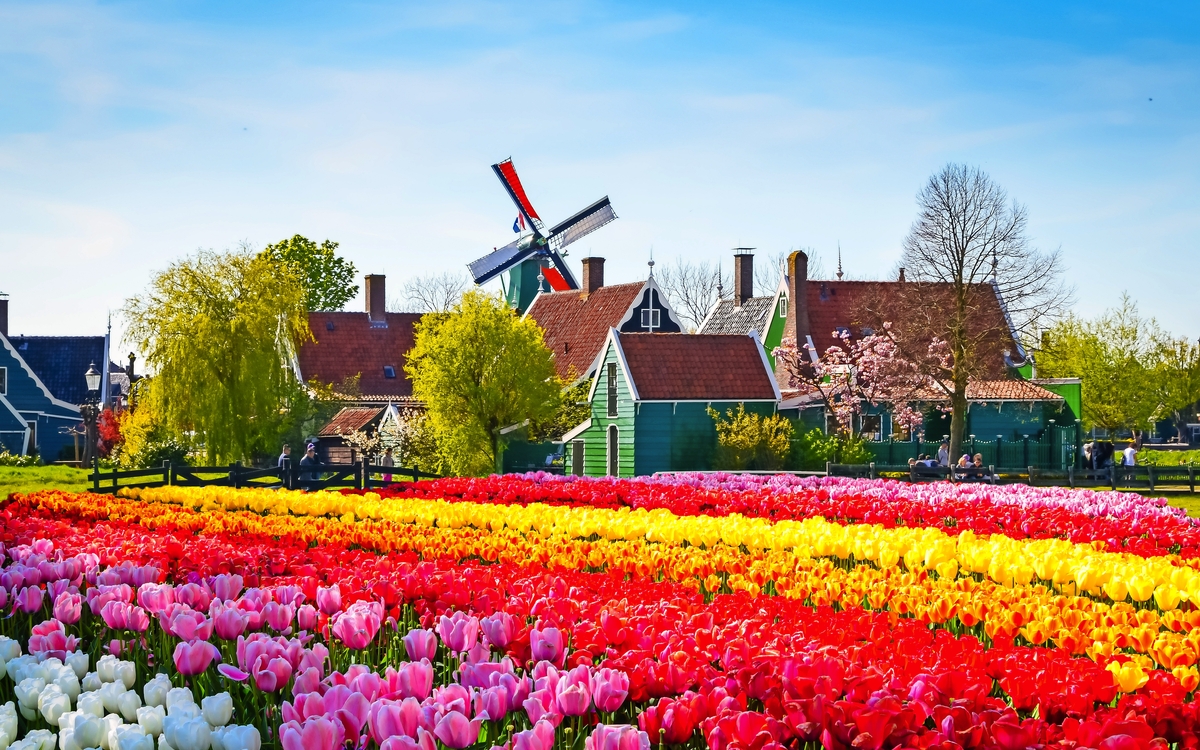 kleine Holzhäuser und Kanal in Zaanse Schans in den Niederlanden - © olenaznakk - stock.adobe.com