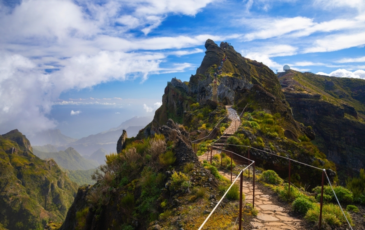 © proslgn/Shutterstock