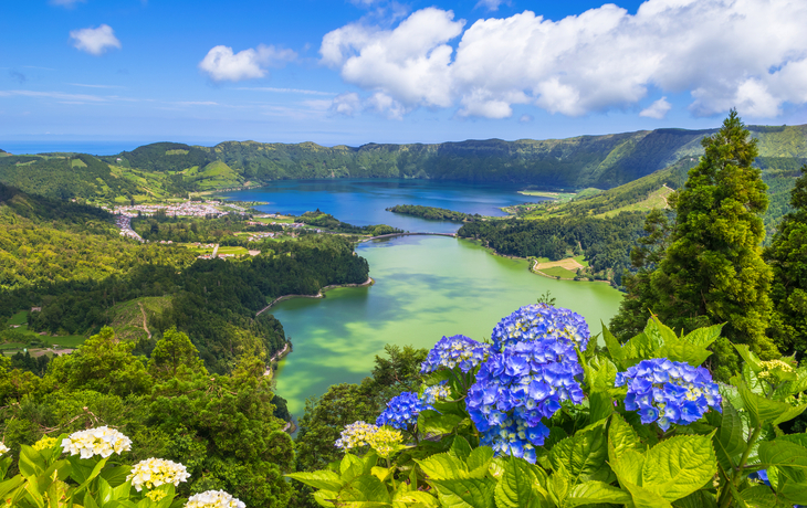 © Nido Huebl/Shutterstock