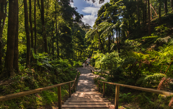 © Mauro Rodrigues/Shutterstock