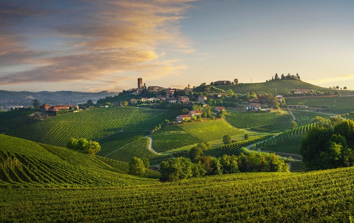 © StevanZZ/Shutterstock